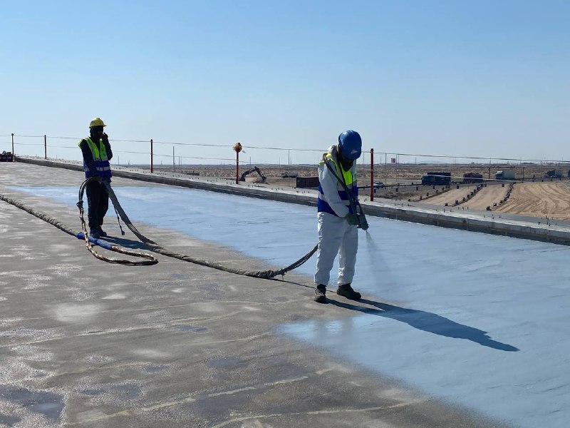 WhatsApp Image 2026-02-02 at 12.28.54